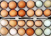 2012-12-14-eggs.jpg