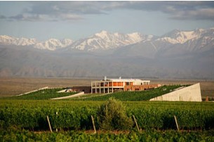 2012-12-17-BodegaMonteviejo.JPG