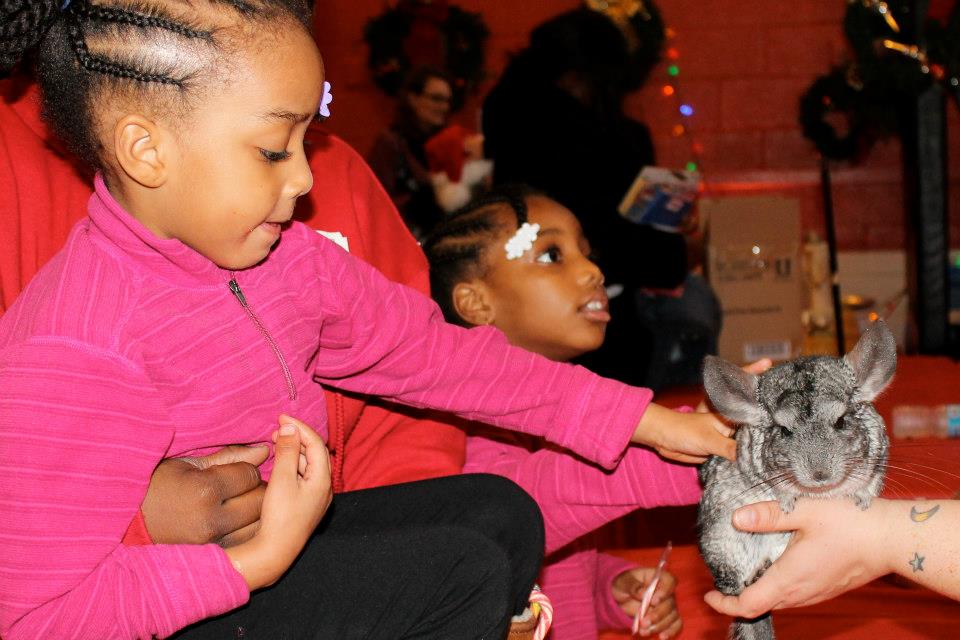 2012-12-18-Chinchilla.jpg