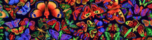 2013-01-17-shoshanawaynegallery.jpg