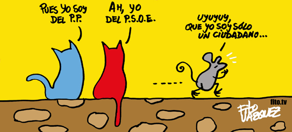 2013-01-24-gatoshuffington.jpg
