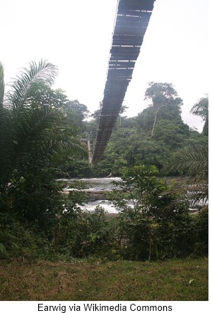 rencontre medef paul biya