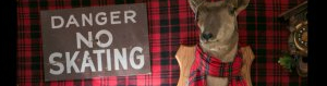 2013-02-06-brimfield.jpg