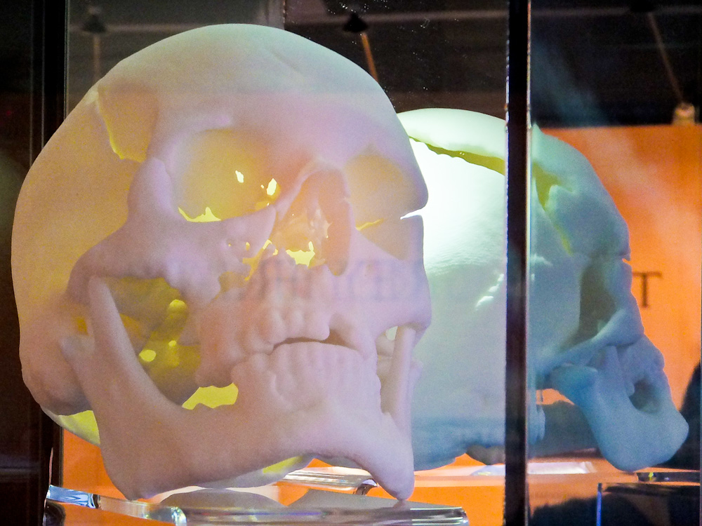 2013-02-08-ReplicaSkull.jpg