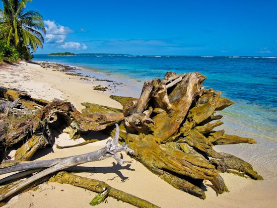 2013-02-11-Beach.jpg