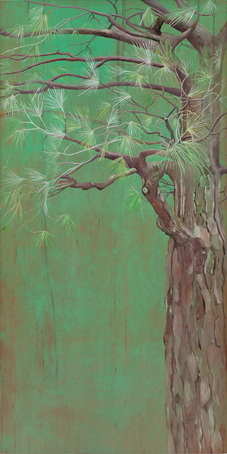 2013-02-14-Imperial_Pine_2012_oil_on_wood_panel_66x33_inches.jpg