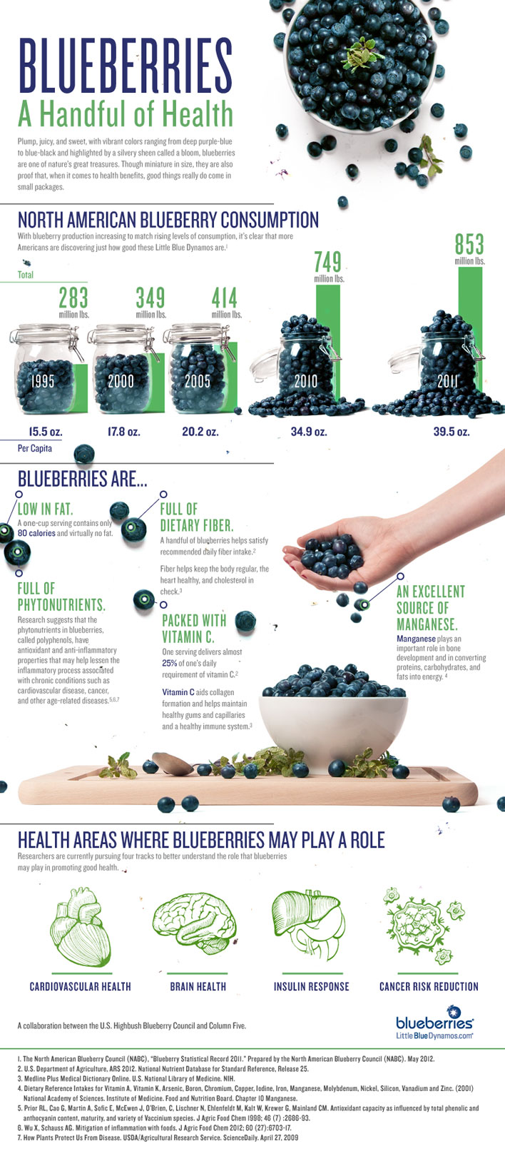 2013-02-18-blueberryinfographicahandfulofhealth.jpg