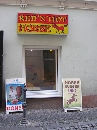 2013-02-18-horse.jpg