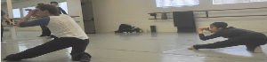 2013-02-27-diabloballetpull.jpg