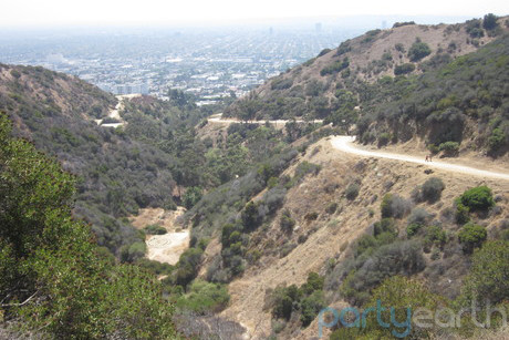  Hollywood on Party Earth  Top 5 Things To Do In Hollywood