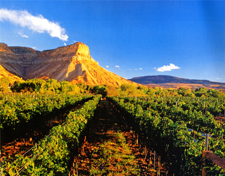 2013-04-04-american_wine3.jpg.png