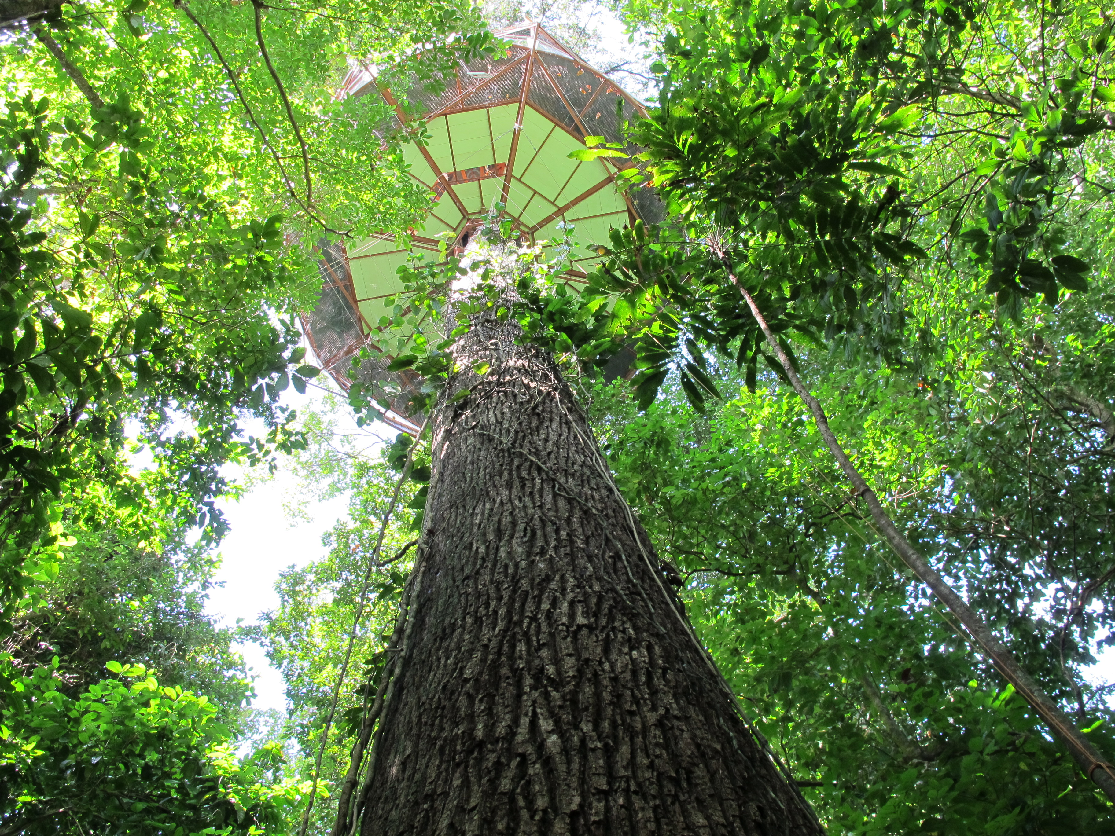 Lara Solomon: Amazing Treehouses in Costa Rica