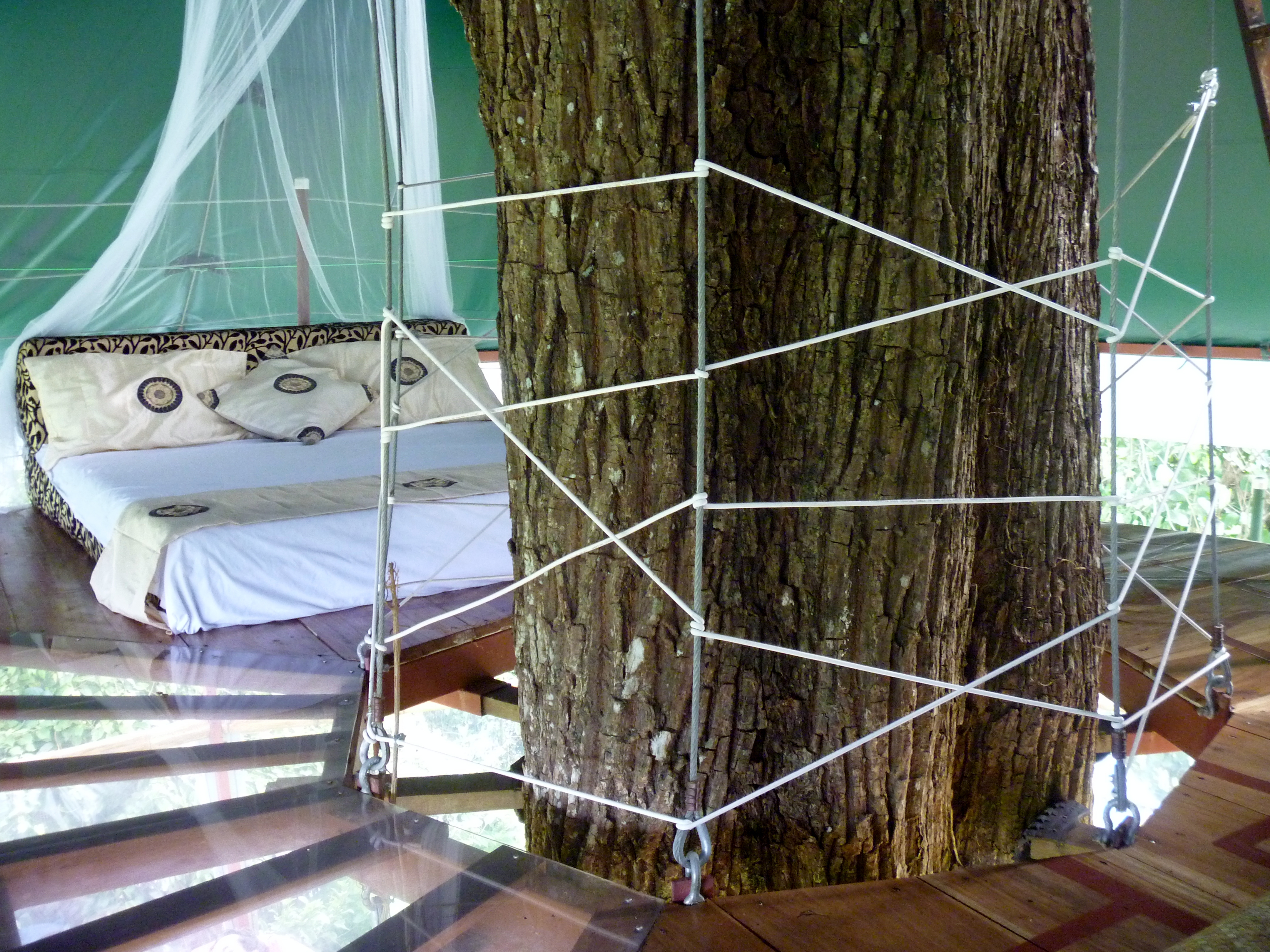 Lara Solomon: Amazing Treehouses in Costa Rica