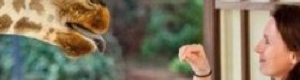 2013-04-18-kensington_animal.jpg