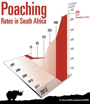 2013-04-24-Poaching_headline_Jan_2013AfricanWildlifeFdn_Resize.jpg