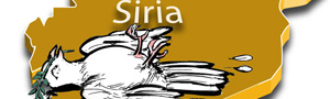 2013-05-28-portada_palomamuerta.jpg