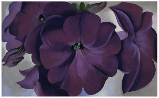 2013-06-14-Petunias.jpg