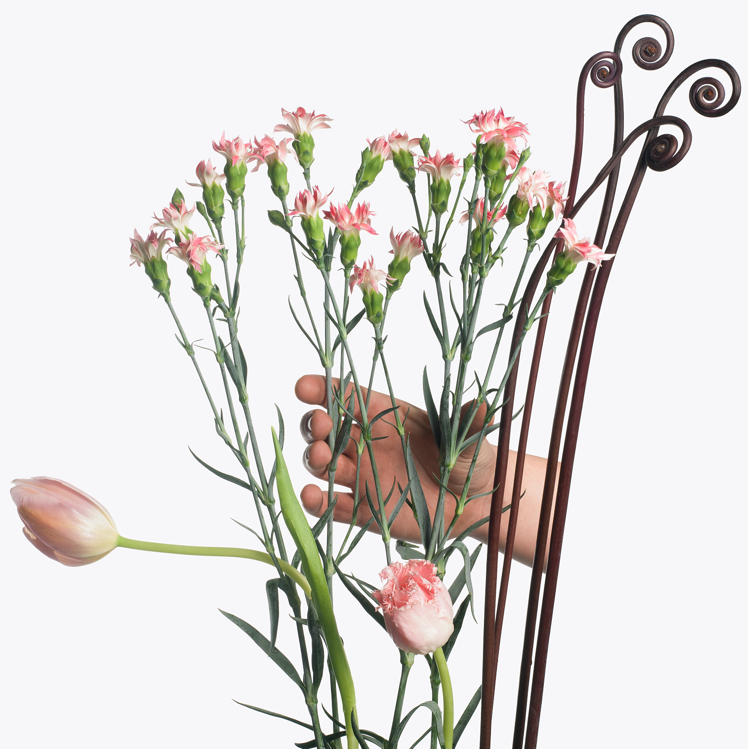 2013-06-21-flower.png