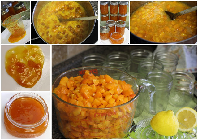 2013-08-05-apricotjam.jpg