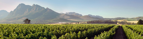 2013-08-08-MontVignes.jpg