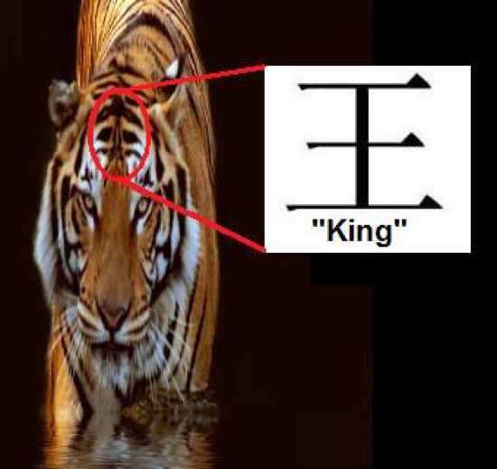 2013-08-26-tiger20symbolism.jpg