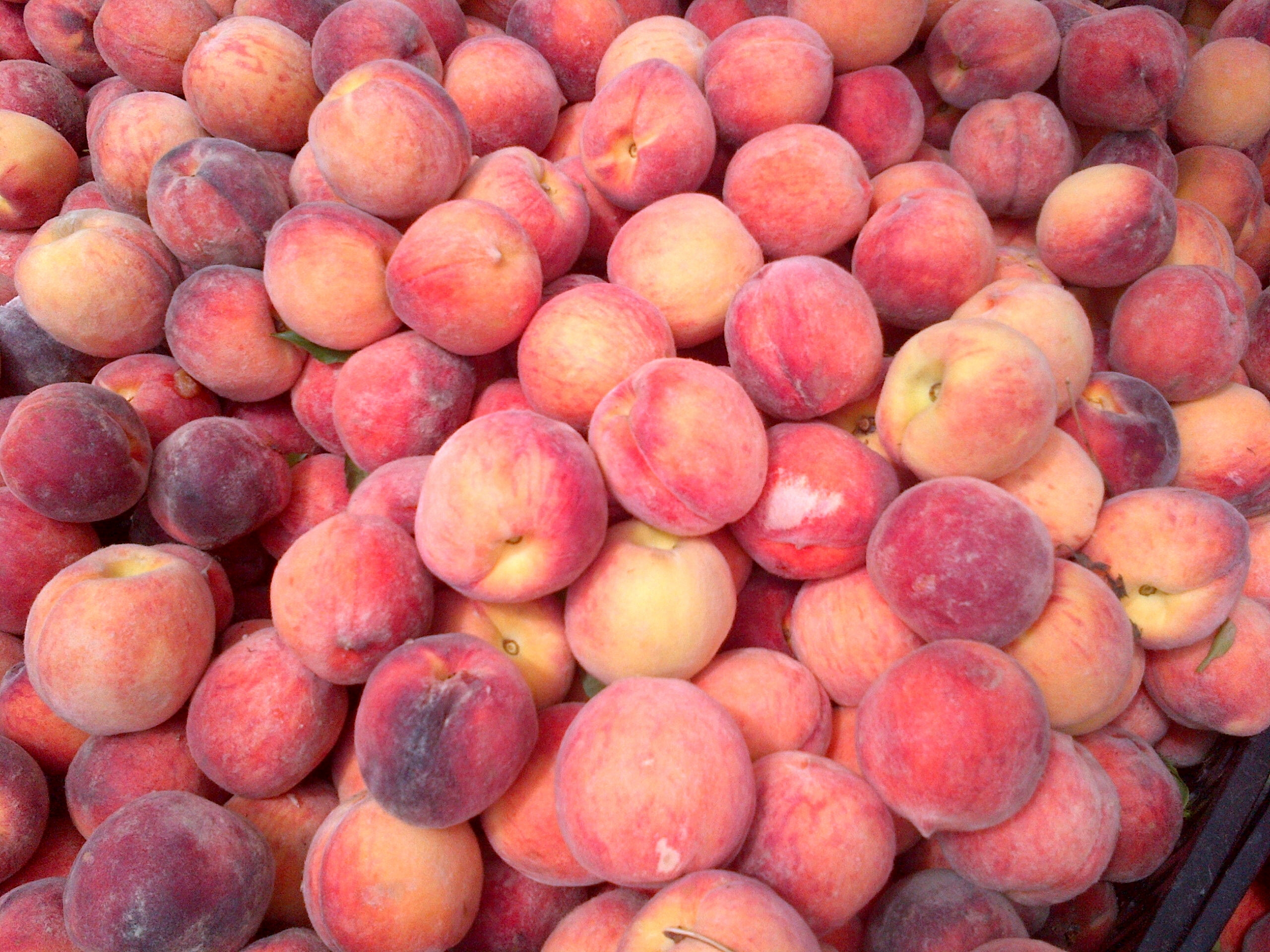 2013-08-28-Peaches.JPG