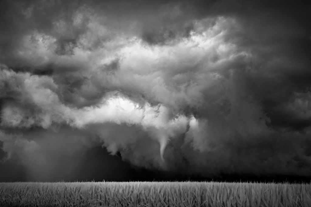 2013-08-29-MitchDobrowner_FunnelCornfield.jpg