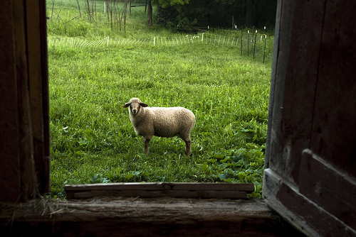 2013-08-29-farming3.jpg