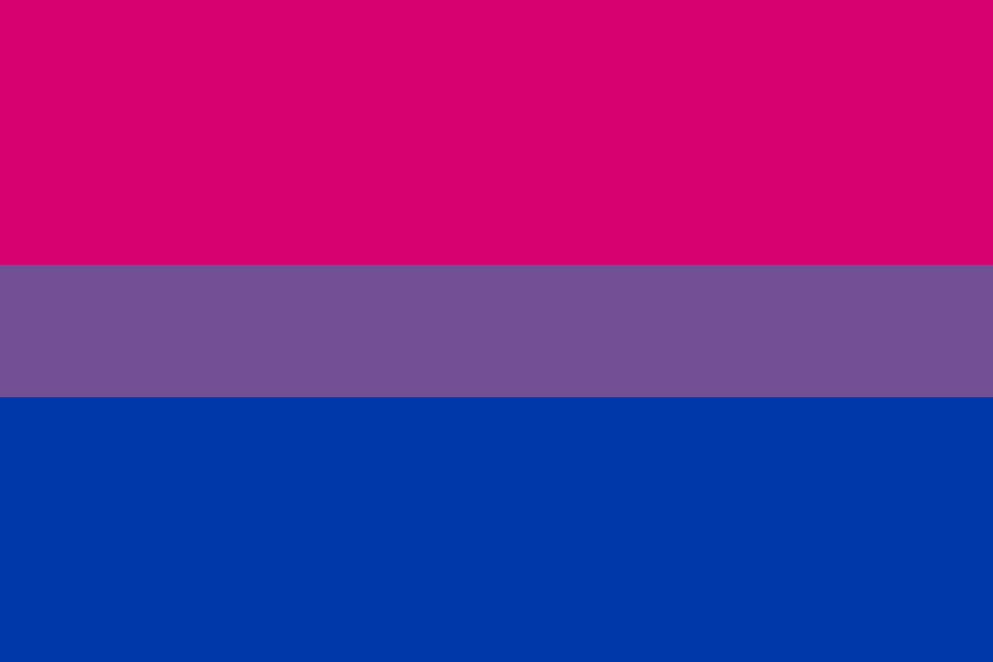 Bisexual Pride Flag 25