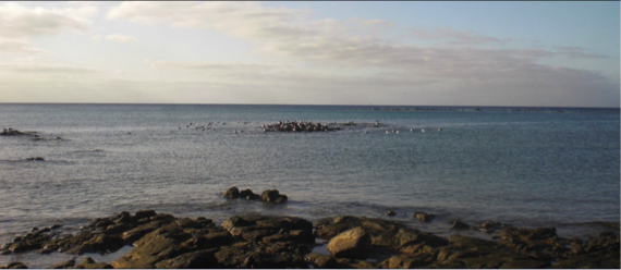 2013-10-21-arrecife.png