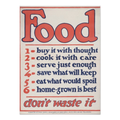 Essay on do not waste food