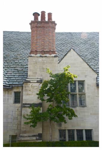  - 2013-10-30-graystone_mansion_chimney_huffpo