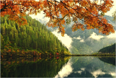 2013-11-06-110.png