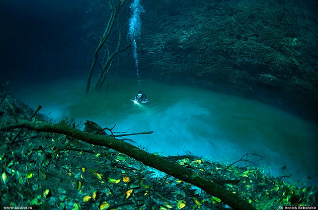 5 Mind Blowing Natural Sinkholes Around The World Huffpost