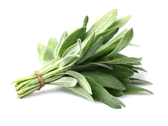 2013-11-25-sage.jpg