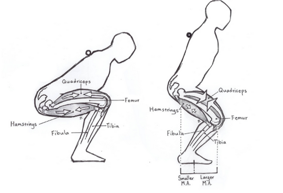 Sore thigh discount muscles from squats