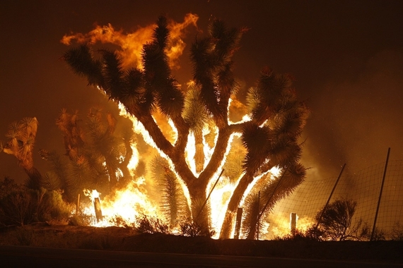 2014-01-05-CaliforniaDrought2013EarthDrReeseHalter