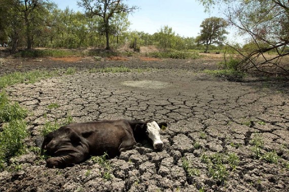 Earth's New Normal: Wild Weather 2014 2014-01-05-Drought2013EarthDrReeseHalter2-thumb