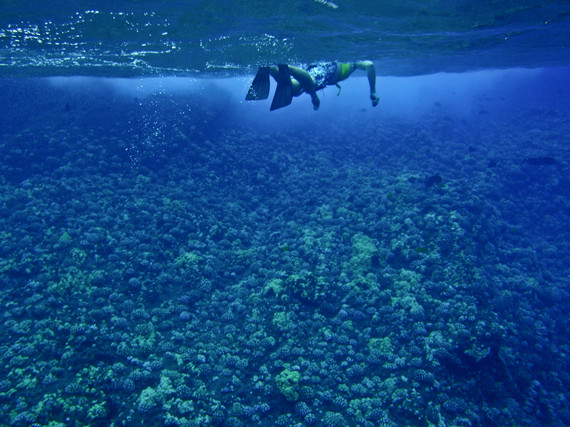 2014-01-23-Snorkeling.jpg