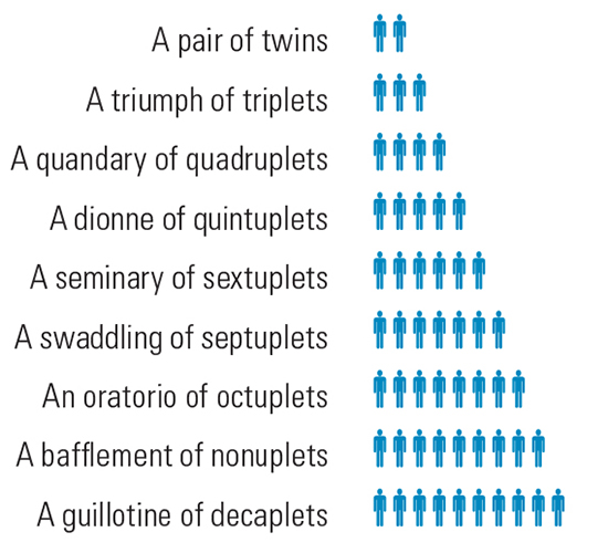 From Twins to Nonuplets: Special Names for Multiple Births