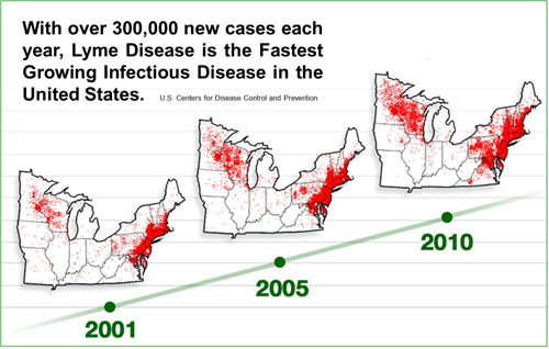 2014-02-25-cmrubinworldLyme_Disease_Progression_Map__US_BIOLOGIC_copy500.jpg