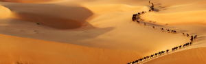2014-03-12-TravelPhoto.jpg