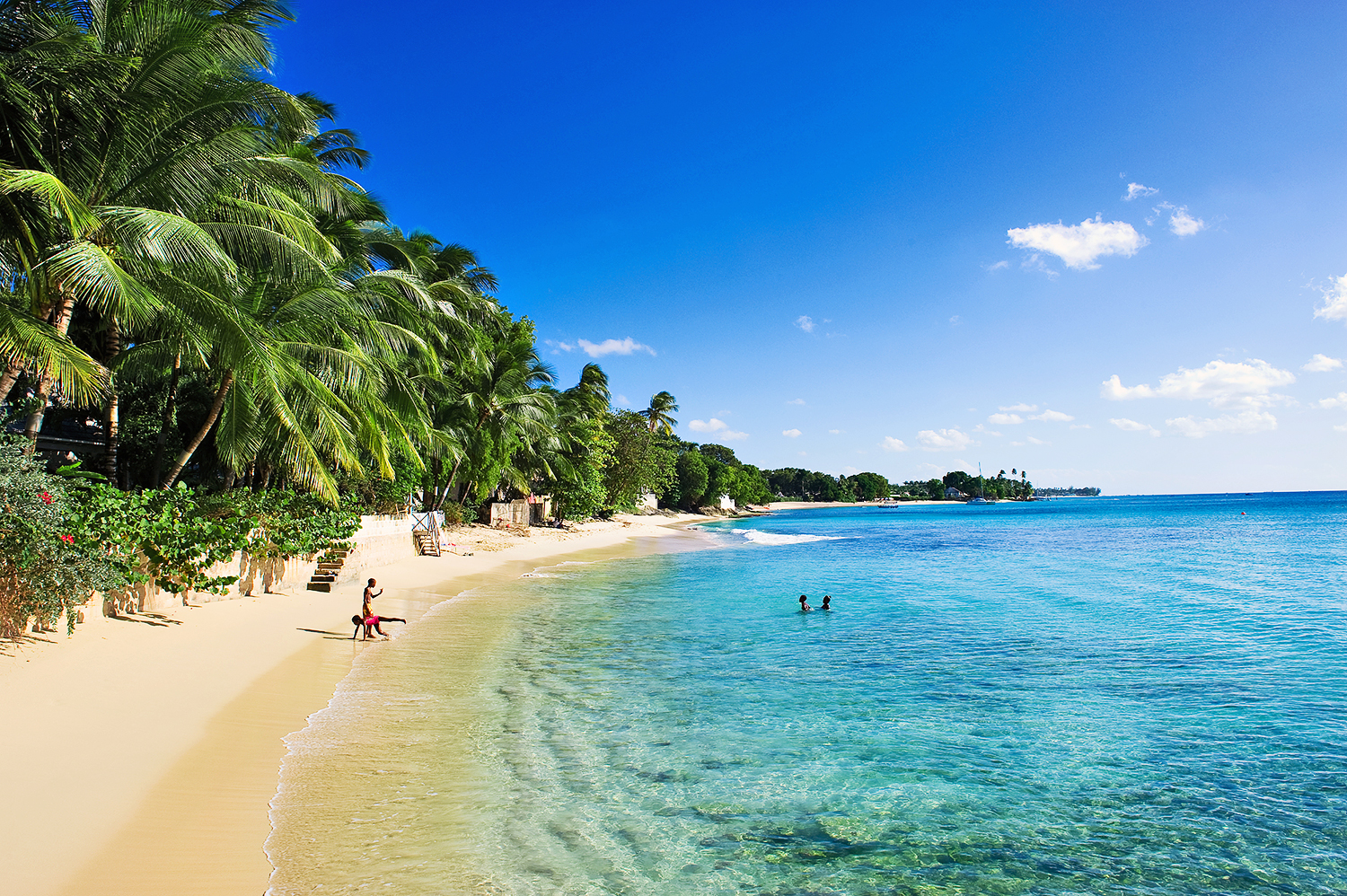 how-to-travel-like-a-local-in-barbados-huffpost