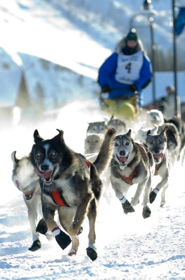 2014-04-09-Huskyrace.jpg