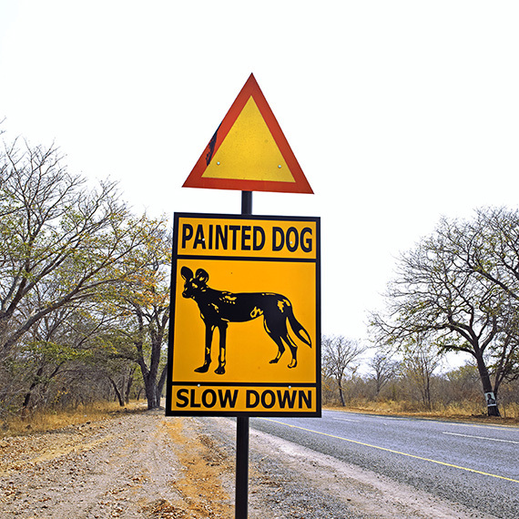 2014-04-10-44Nance_Zimbabwe__3043copy.jpg