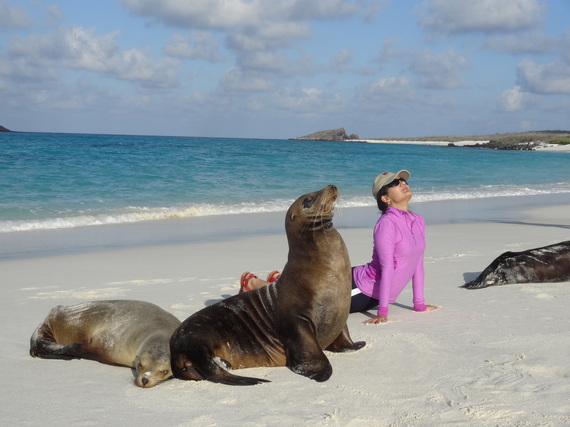 yoga with sea lions at Galapagos