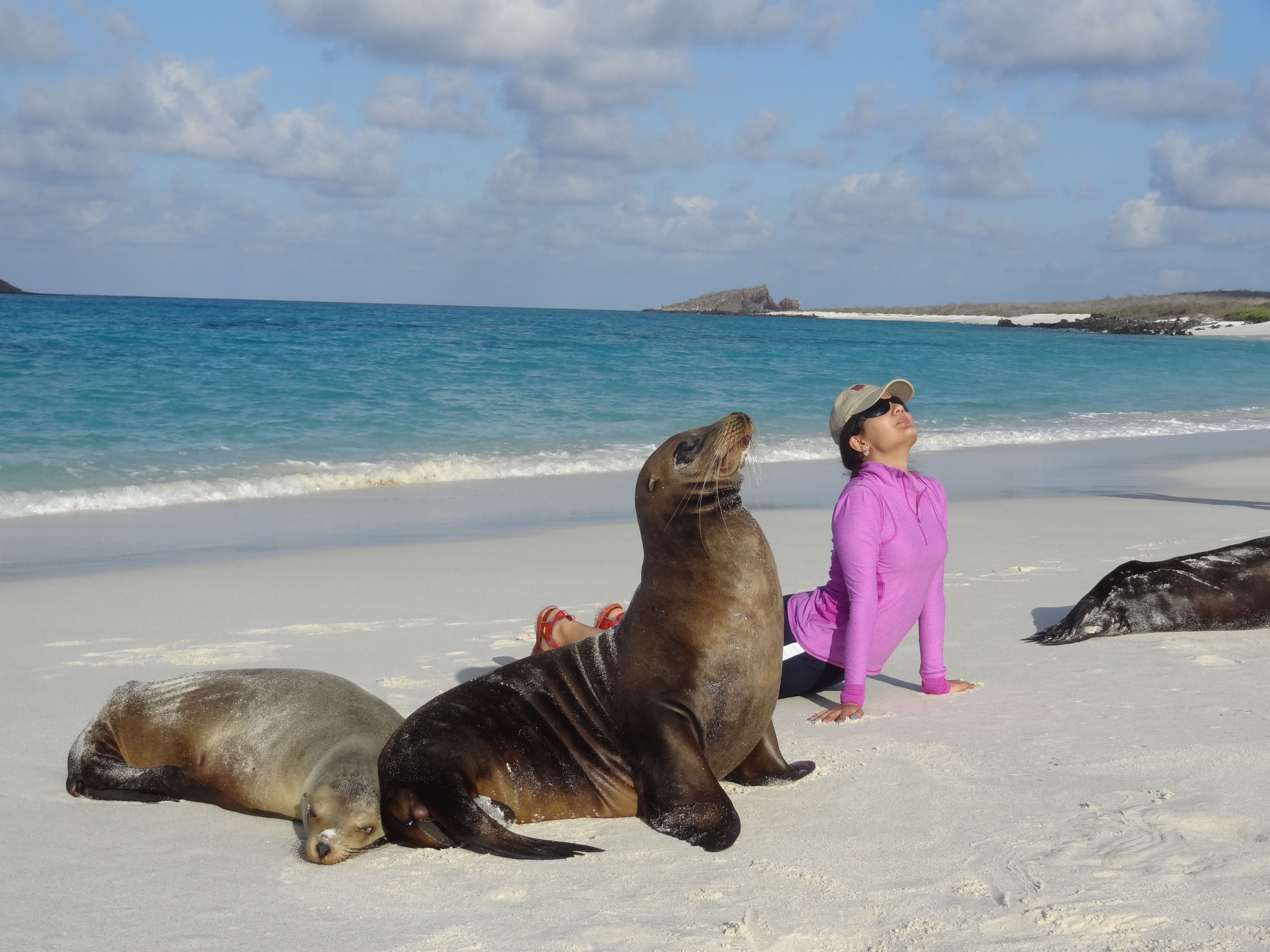 7 Reasons to Include Galapagos Islands on Your Bucket List | HuffPost Life