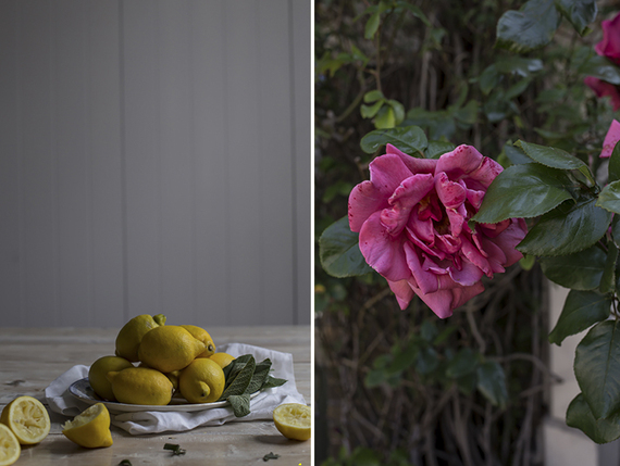 2014-06-10-roselemonade2.jpg