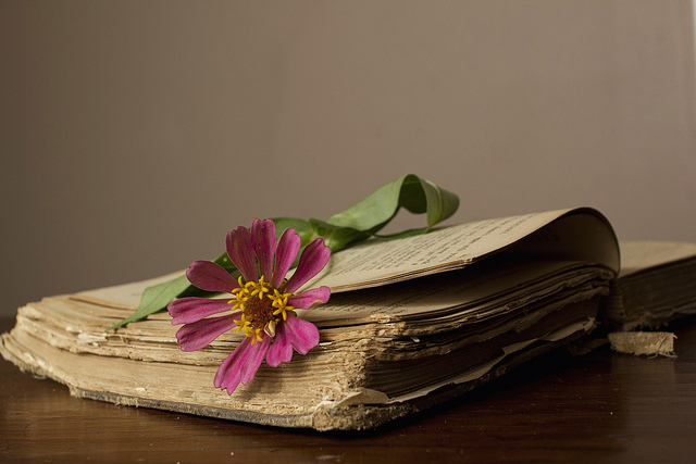 7 Ways Books Can Change Your Life HuffPost