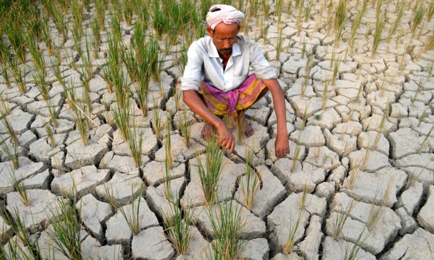 problems-of-indian-agriculture-essay-challenges-of-indian-agriculture